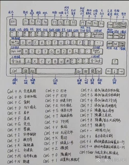 拆开电脑,释放你的键盘潜力—电脑键盘指法练习指南