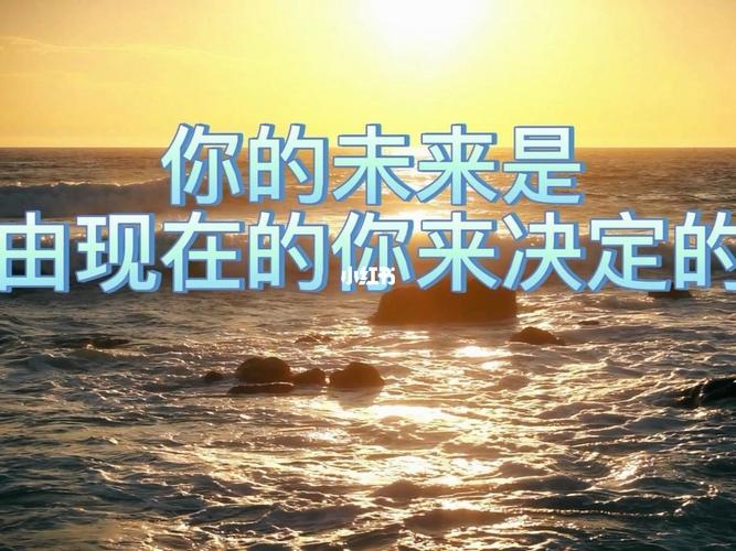 从上海私人网站的起步到巅峰，你的未来该怎么规划？