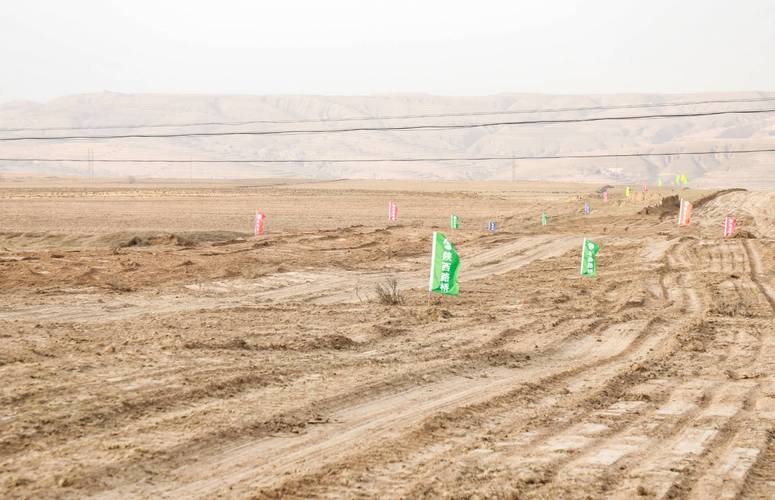 甘肃环县疫情防控最新消息