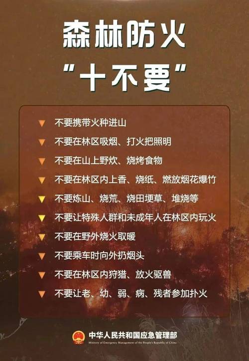 太阳市疫情最新动态,你可能不知道这些信息让你的日常生活更加安全!