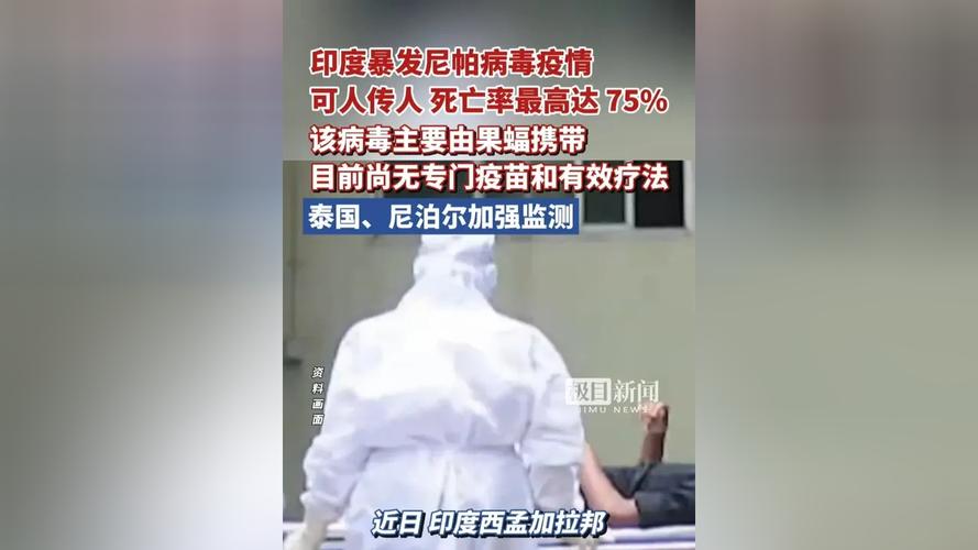 印度疫情最新动态，感染人数、死亡率、国际旅行影响及应对策略