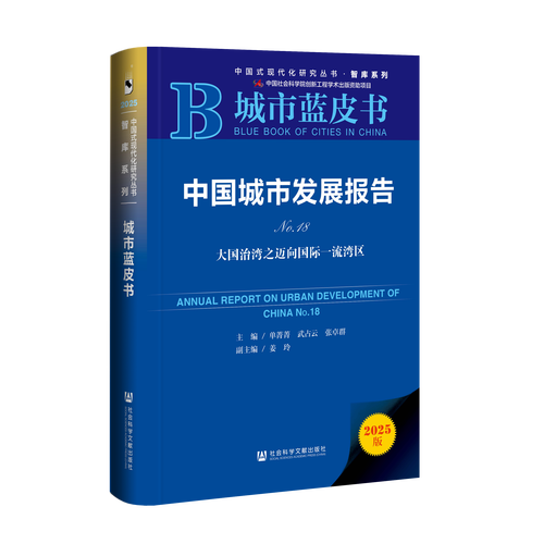 文章概要，深圳的城市化与现代化网站建设