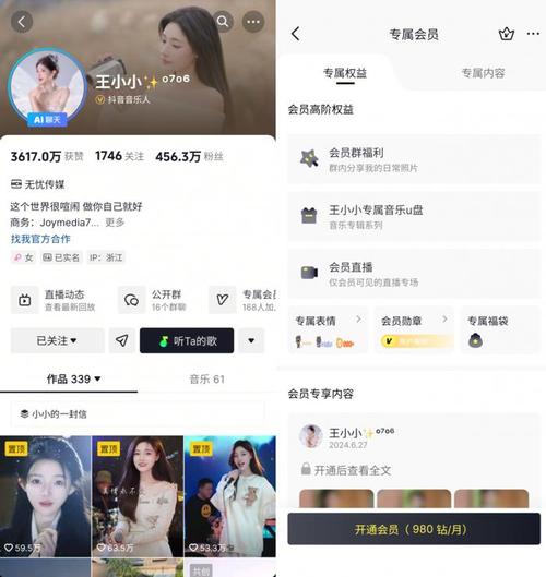 抖音秒赞平台与dy低价会员，让内容更上一层楼