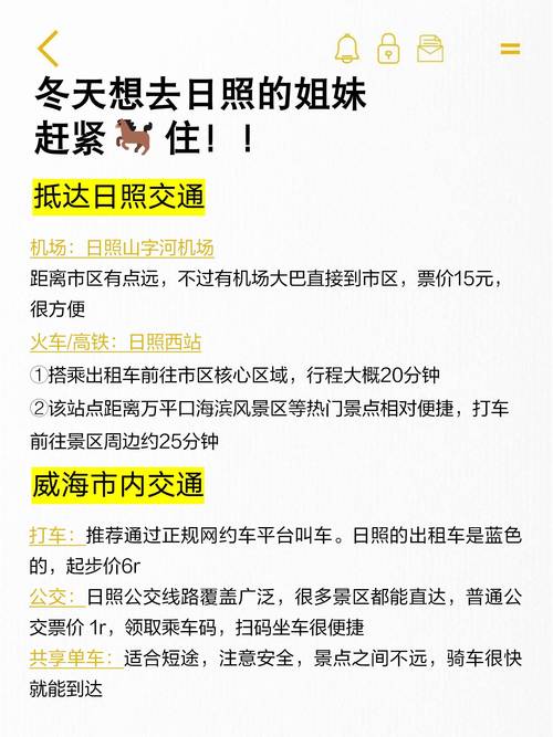 日照市营销策略指南