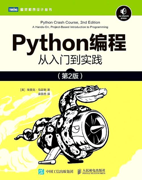 编程与网站建设，实用指南