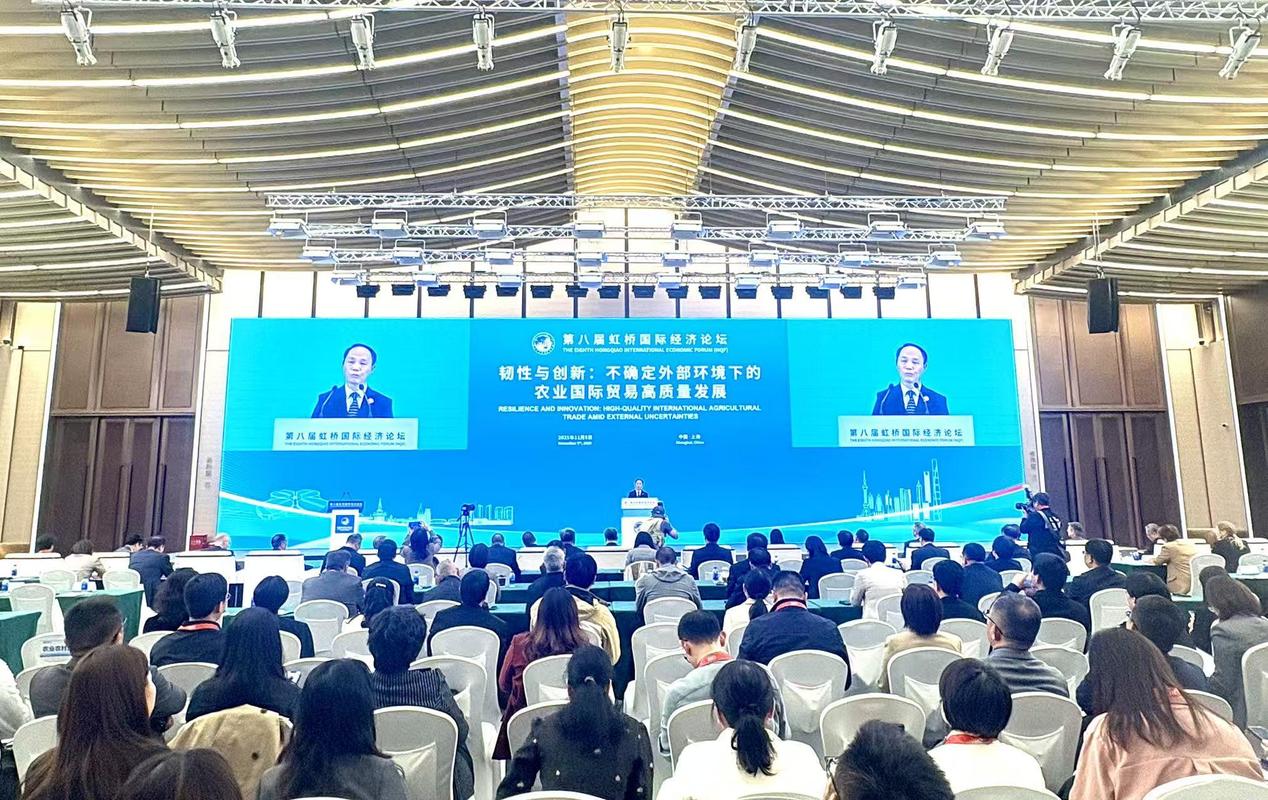 搭建企业网站，上海经济发展的必答题