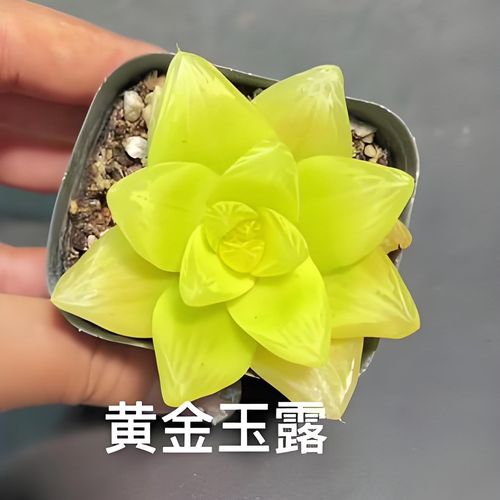 防辐射电脑桌面配置指南