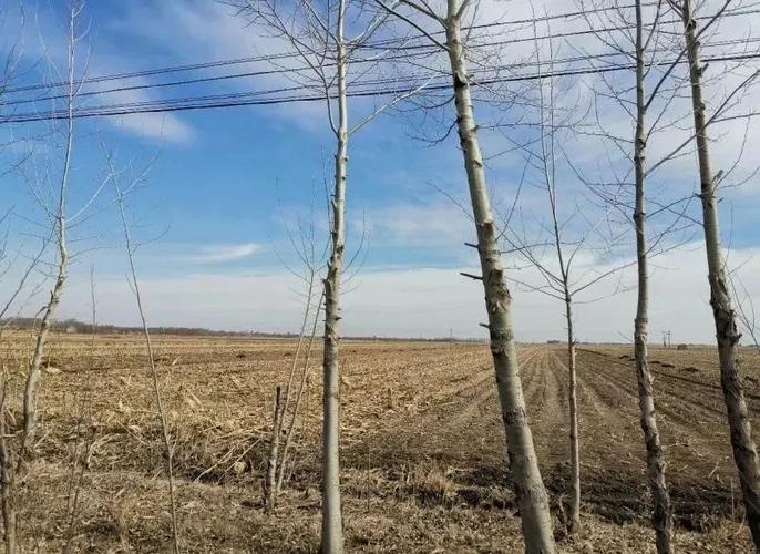 四平市疫情最新消息,迎接春天的第一场疫情