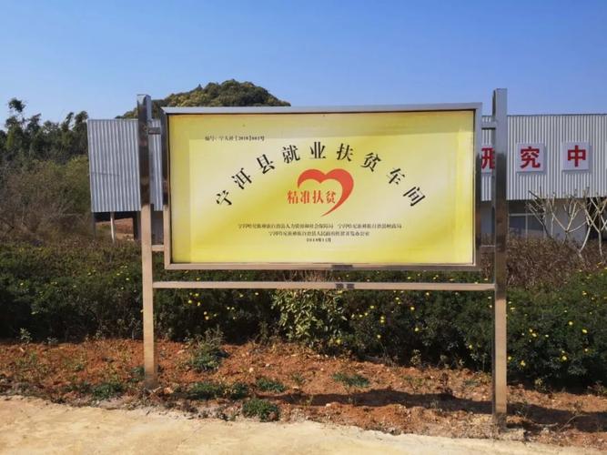 利辛疫情防控最新消息，保障民生稳就业