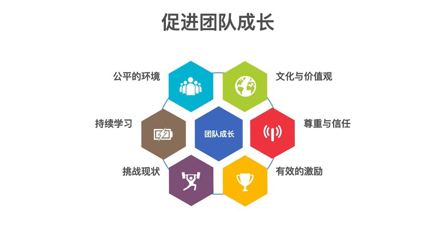 构建高效网络团队,技术、设计与管理的完美结合