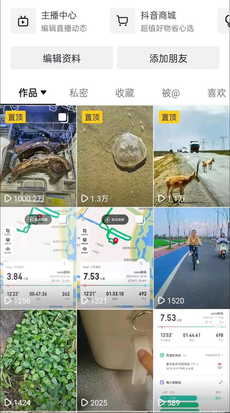 从刷屏到提升作品，抖音与快手的生存之道