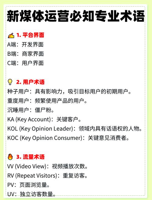 网络专业术语指南