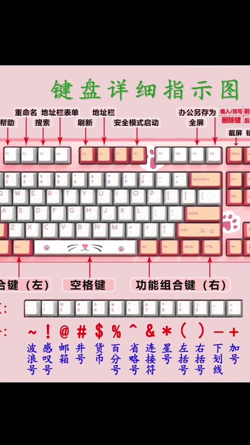 电脑键盘故障指南,贵阳二手电脑市场分析