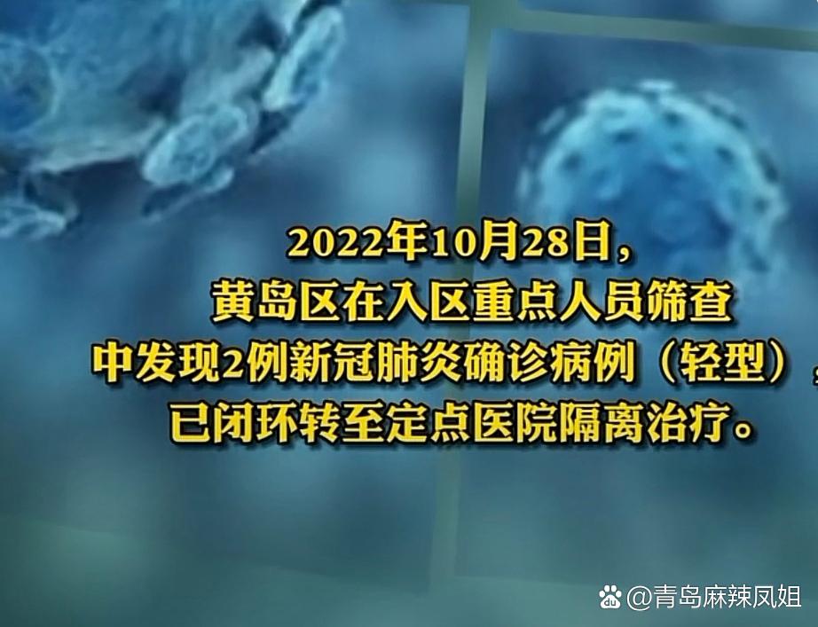 疫情防控指南,黄岛疫情最新动态与应对策略