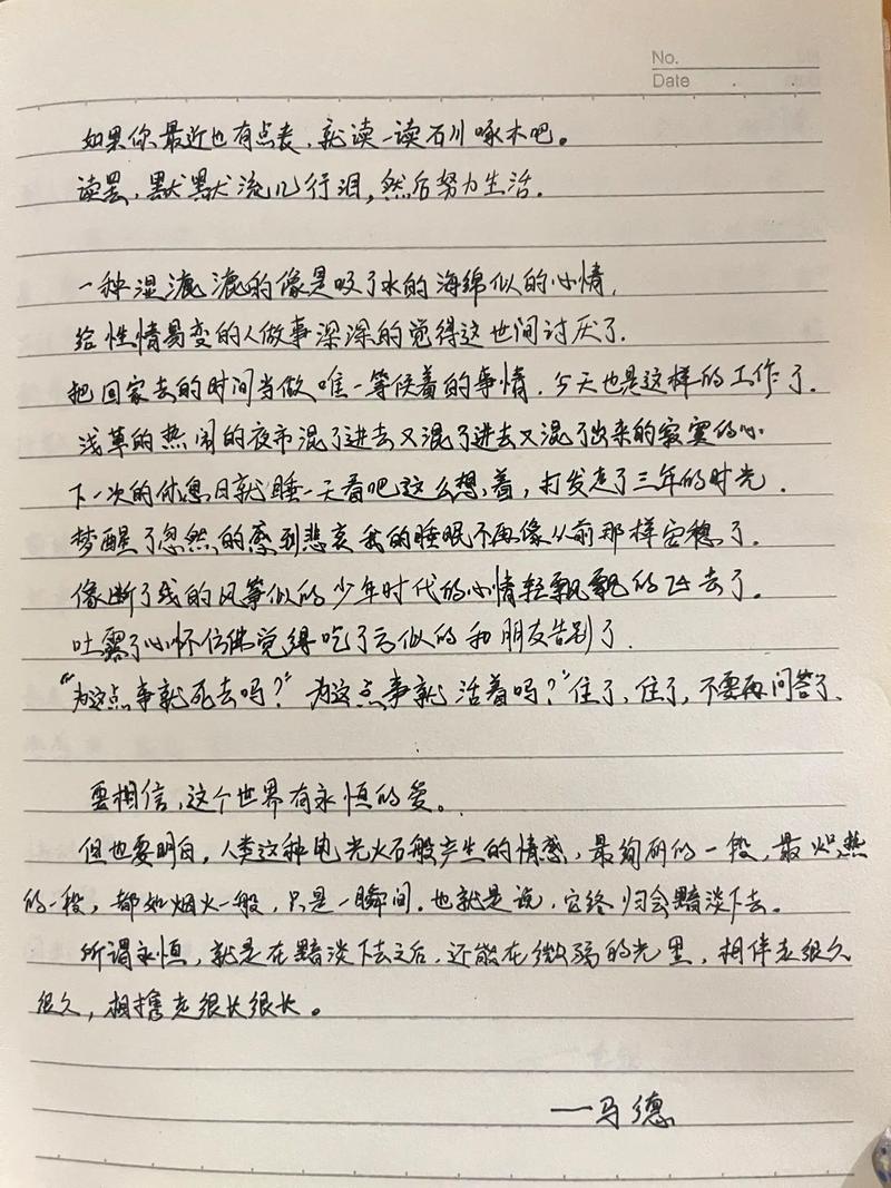 记录生活，电脑日记软件与手写输出完美结合