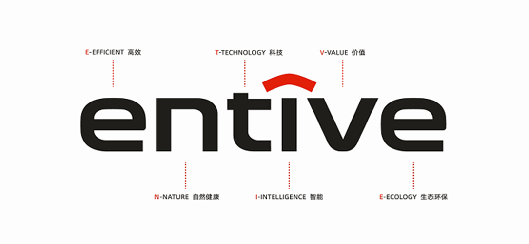 瑞翔网站,打造品牌形象的高效之路