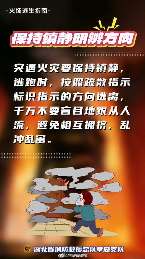 韩国疫情与火灾，最新动态，你必须知道！