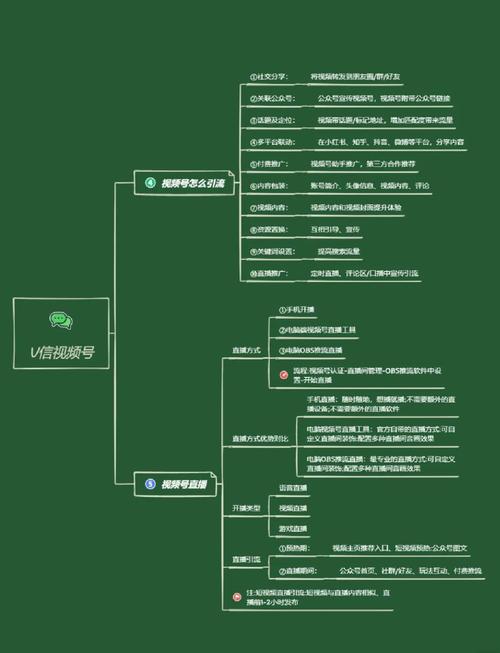 视频网站建设，从目标用户到数字化转型的必经之路