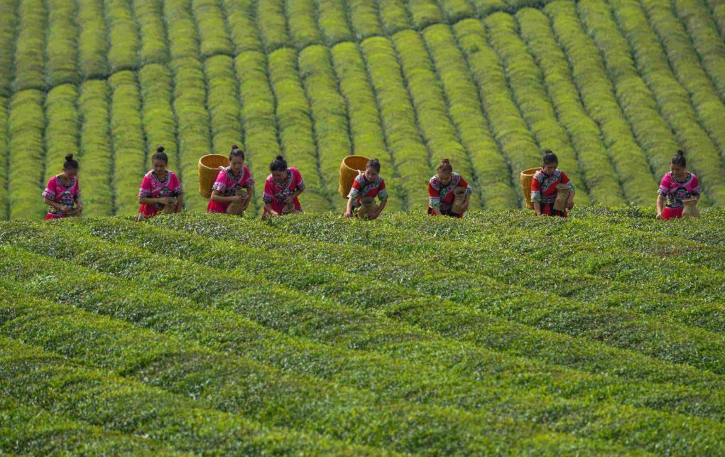 一、铜仁本地化网站开发的核心目标