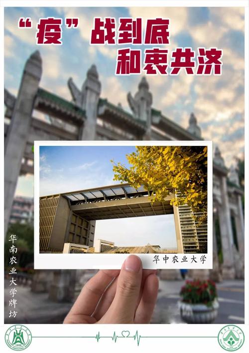 华中农大疫情最新消息,防控措施与应对策略