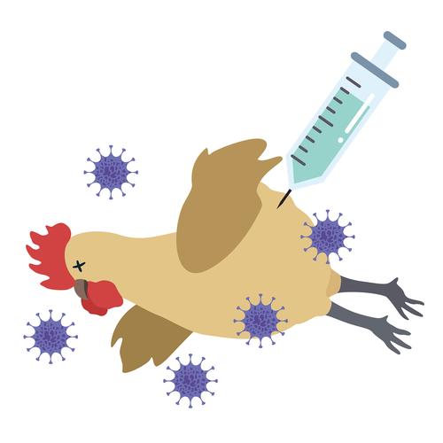 金昌鸡疫情最新消息来了！