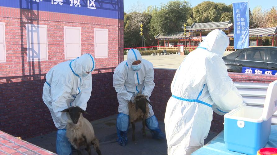 昌吉动物疫情最新消息，家庭成员安全指南