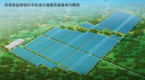 藁城农业大镇,网站设计与开发指南