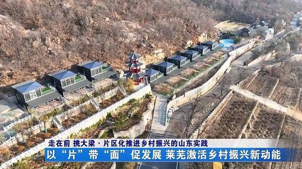 莱州市网站建设，助力乡村振兴的创新实践