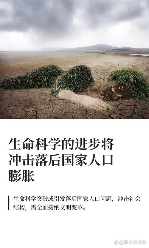 玛曲疫情最新消息，全球视角下的危机应对与国际合作