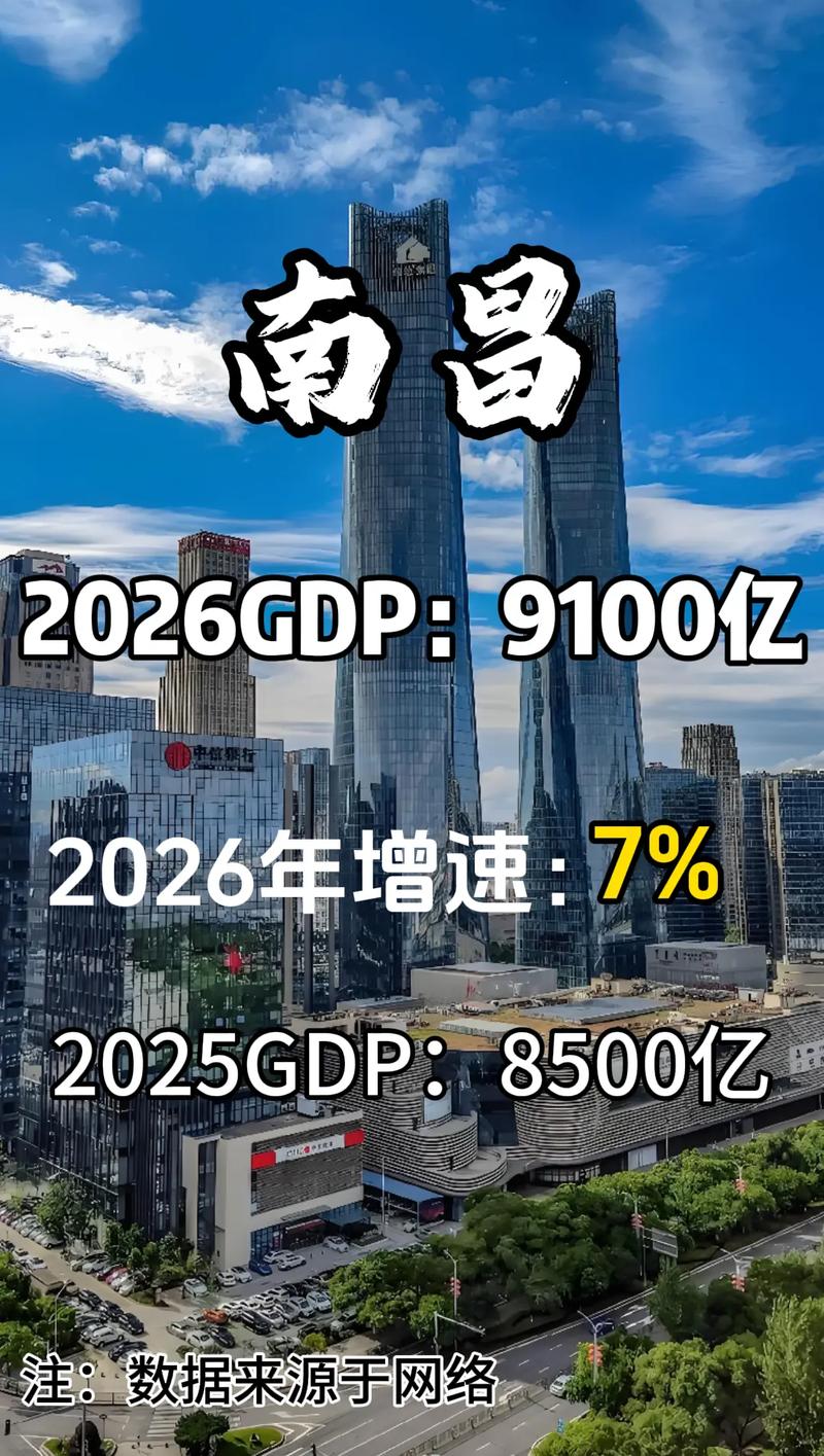 网络数据行业，南昌网络数据公司的崛起之路