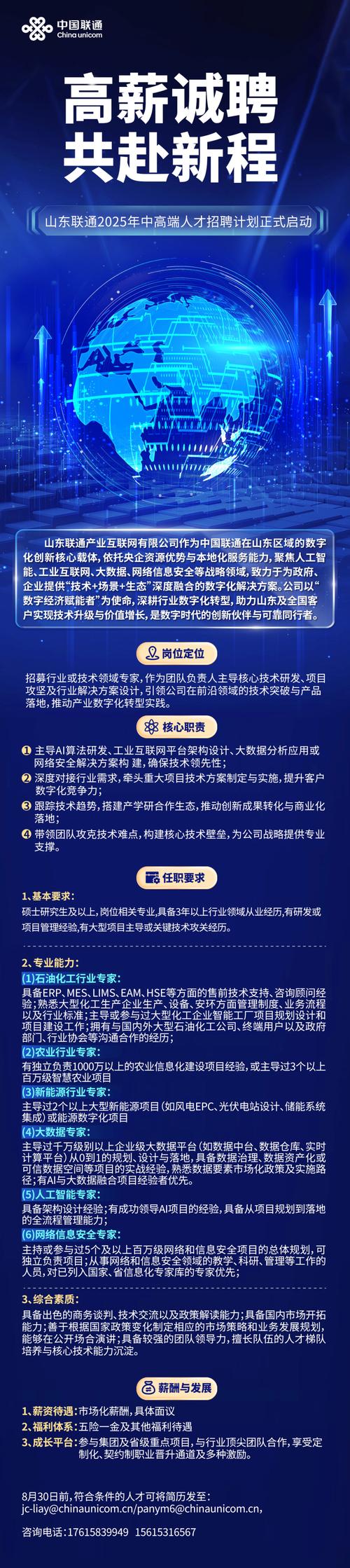 推动网络招聘发展,打造高效招聘新引擎—网络招聘项目建设方案