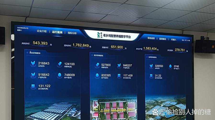 深圳公明网络公司的数据驱动与精准营销能力