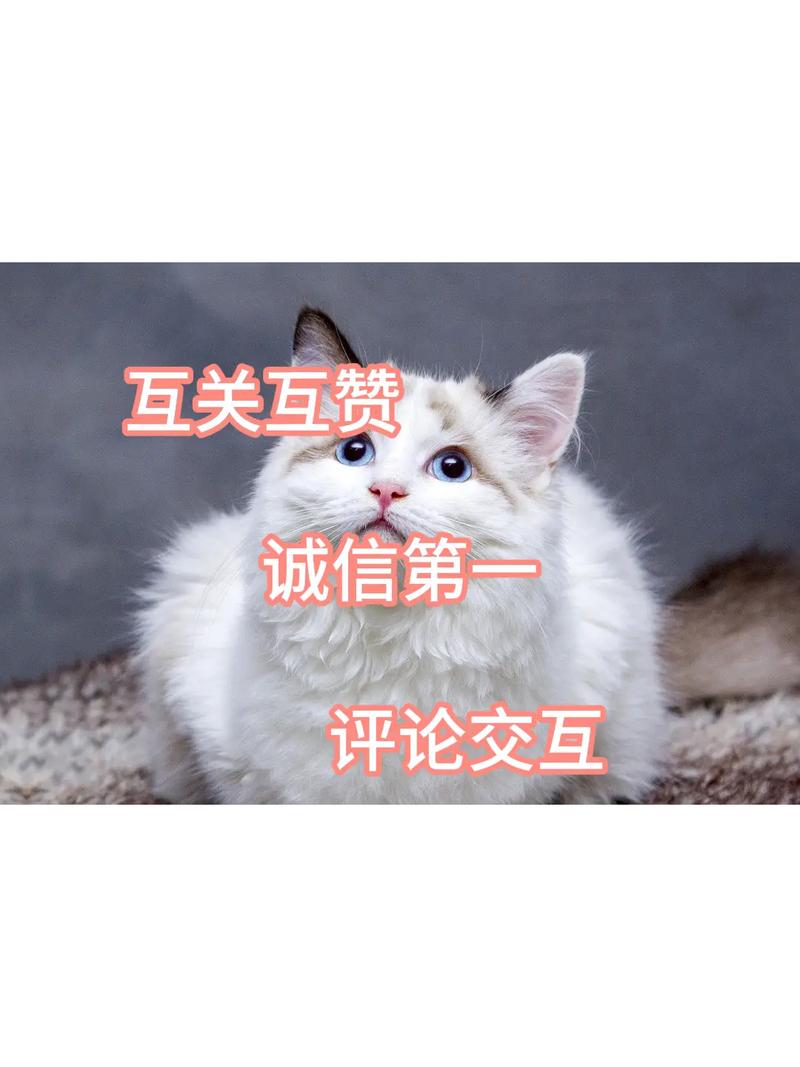 互赞群，如何通过互赞提升K-S评分，获取高曝光