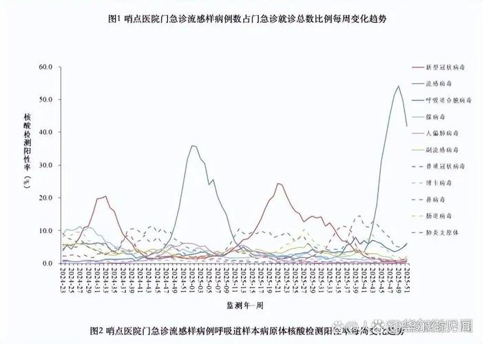 海南疫情防控与湖北经验，数据对比与深层分析