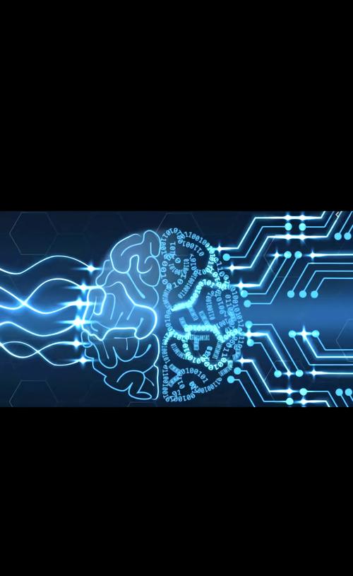 双击秒刷与乐天之未来,短视频平台的双刃剑