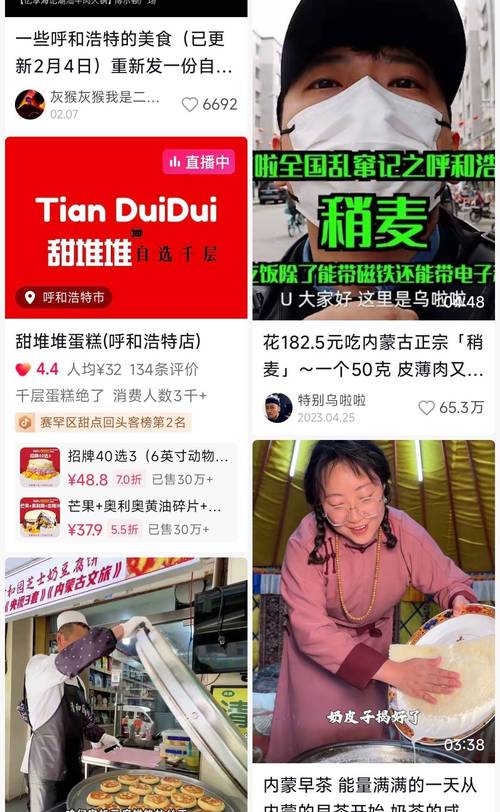 抖音双击播放网站免费与24小时团购自助，高效获取优质内容的必选方案