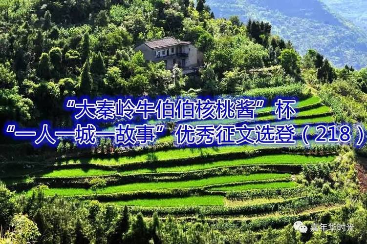 如何高效利用成都云阳网络资源