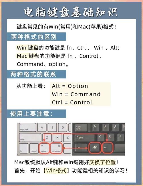 笔记本电脑键盘错乱的原因与应对策略，苹果电脑的隐藏成本
