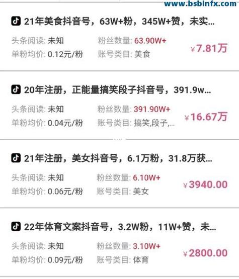 快手粉丝秒刷网,让粉丝更高效地增长!