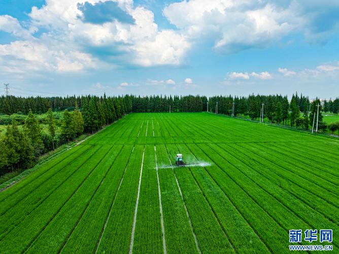 江苏泰兴,现代化建设的绿色星