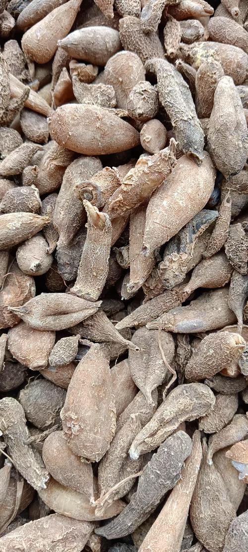 药材网网站技术建设指南