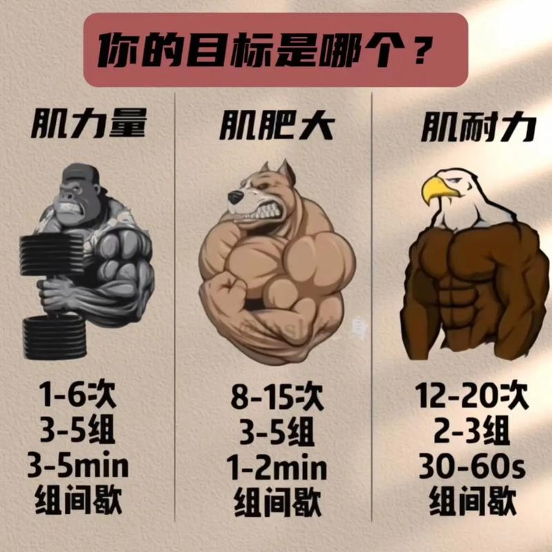 肌肉个人网站，从困惑到成长