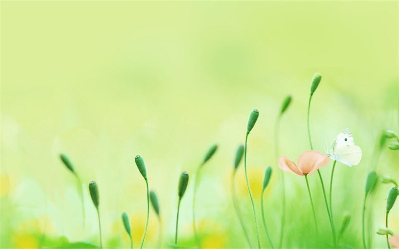 打开电脑很慢,桌面主题下载到底该怎么做?