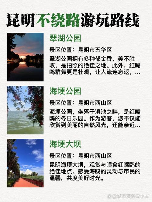 云南昆明网络推荐指南