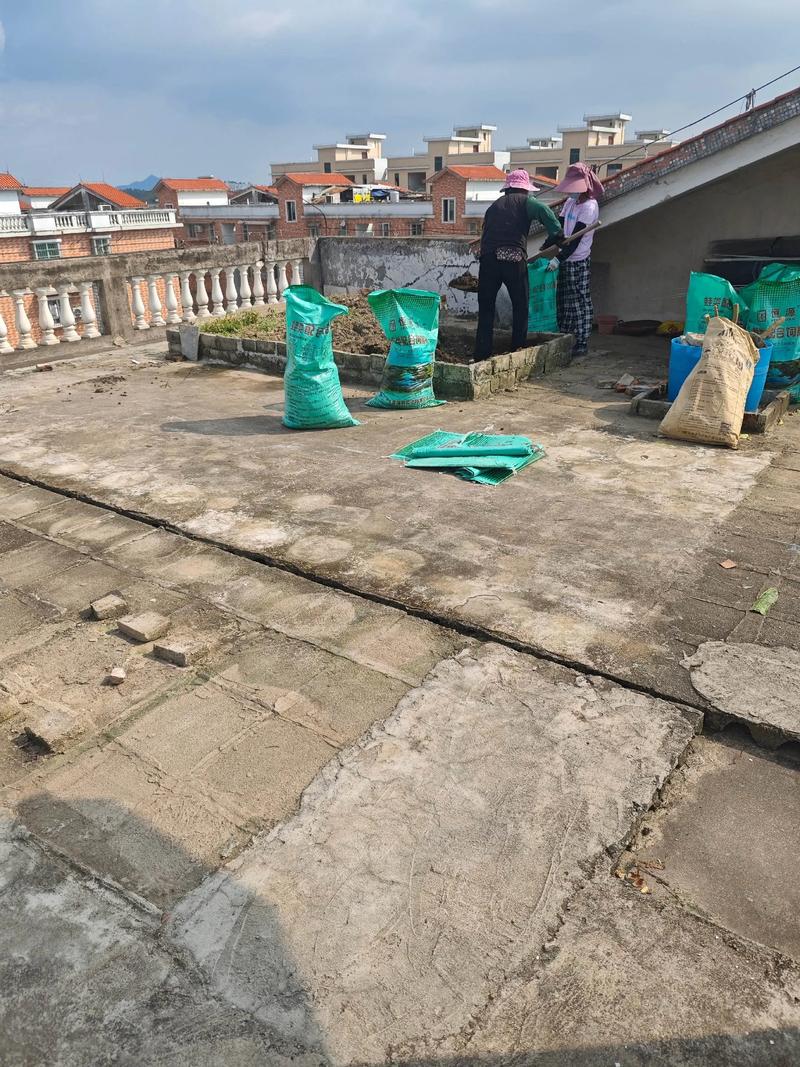 江门疫情最新消息 开平