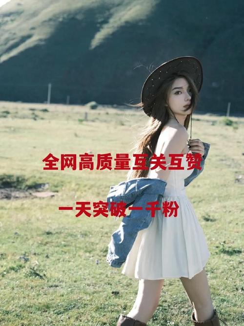 高质赞，快手、抖音快速获取赞的指南