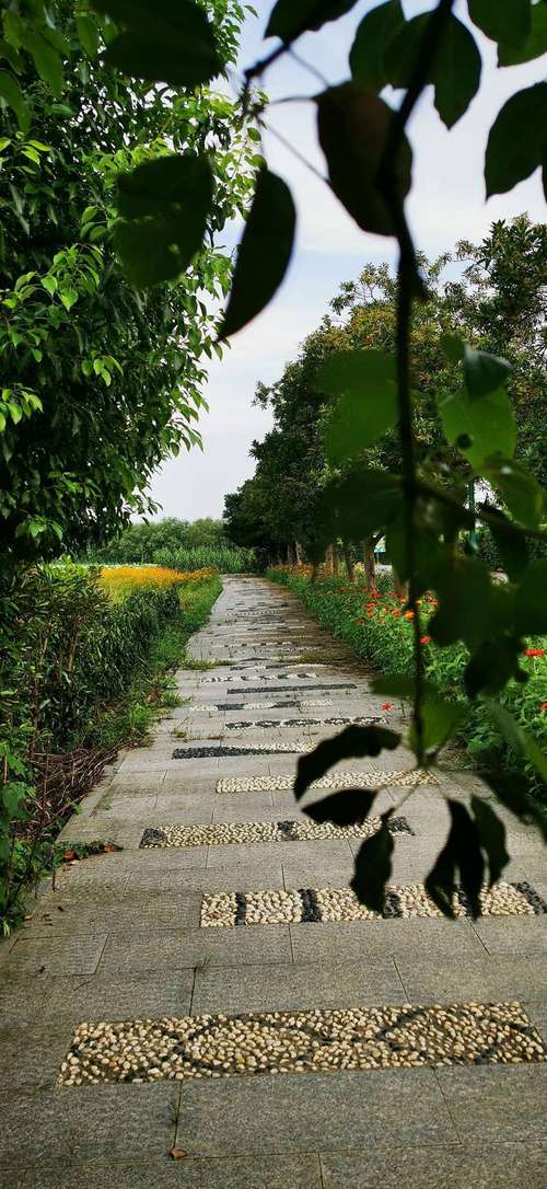 西湖公桥疫情最新消息，如何在疫情防控中守护这份风景？