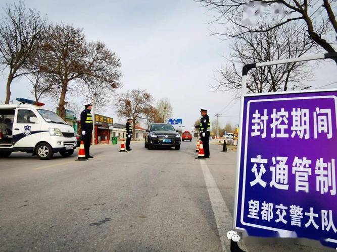 保定望都地区疫情最新动态