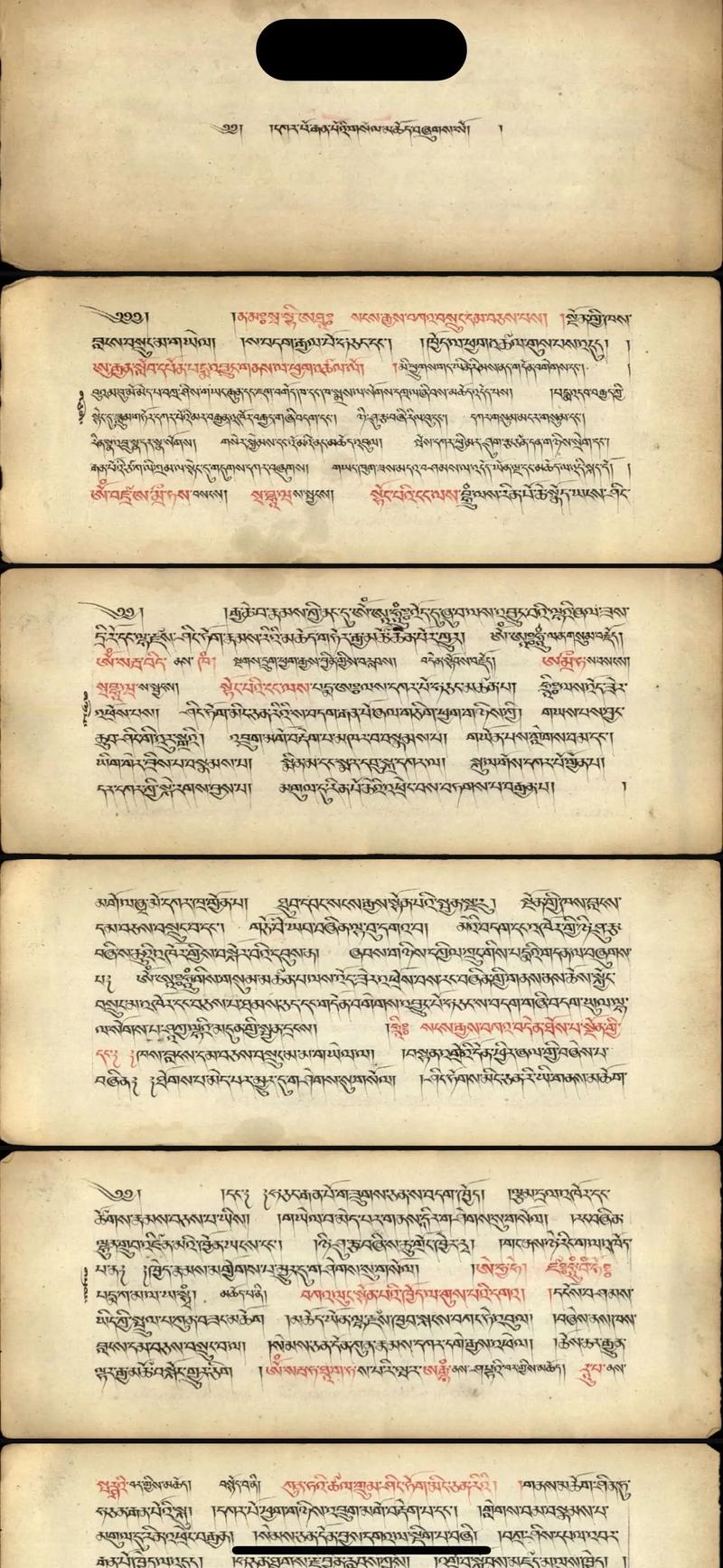 西藏藏语疫情最新消息，气候与防控策略解析