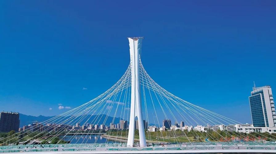 东阳网络，连接千家万户的桥梁